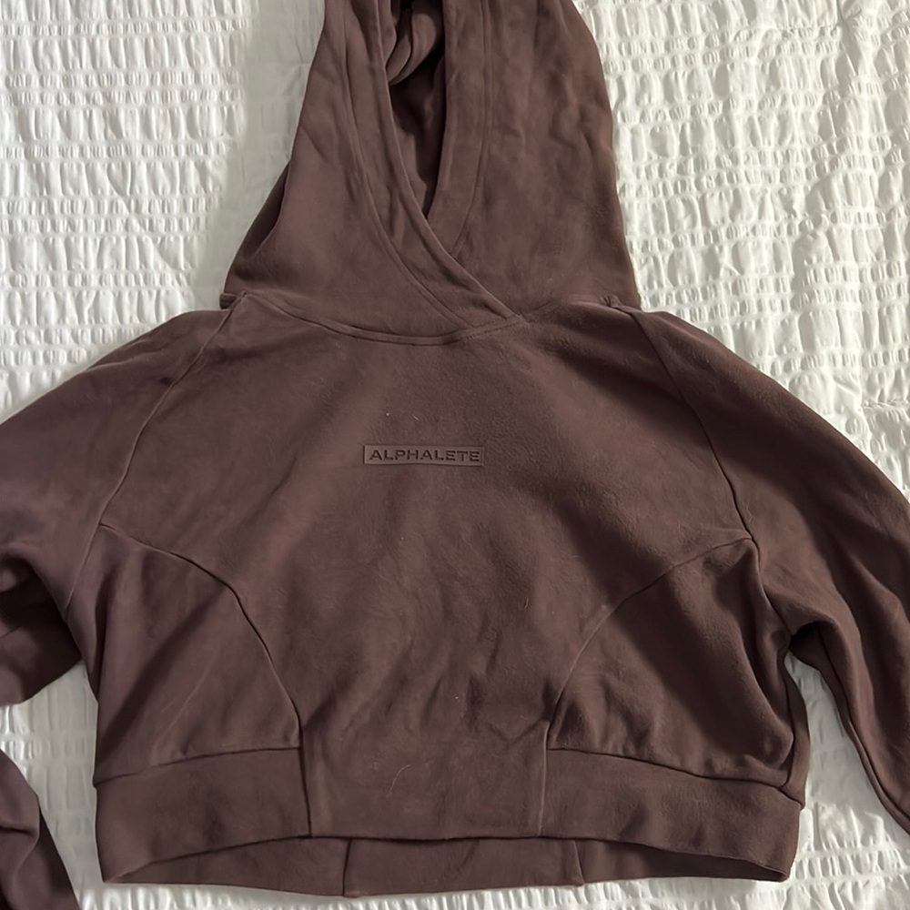 Alphalete cropped hoodie